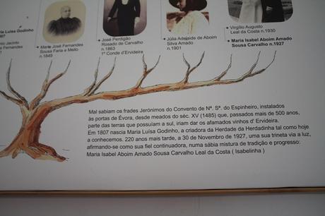 REGUENGOS DE MONSARAZ: EL VINO EN EL ALMA