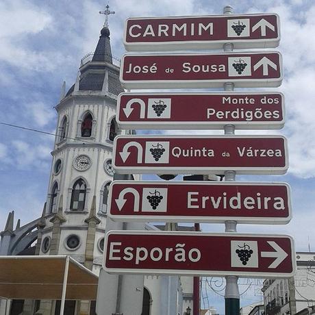 REGUENGOS DE MONSARAZ: EL VINO EN EL ALMA