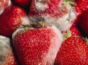 Signos deterioro alimentos.