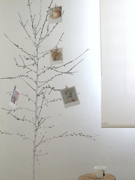 Decorando mi estudio II , instalar estores enrollables