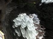 Fumito Ueda confirma Last Guardian está terminado