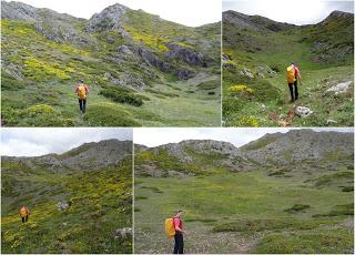 San Emiliano-Villafeliz de Babia-Sierra los Grajos-Pinos de Babia