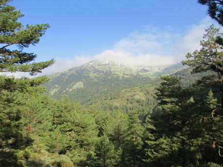 NACIMIENTO DEL RÍO MOROS.