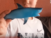 CangreUniverse sigue expansión.