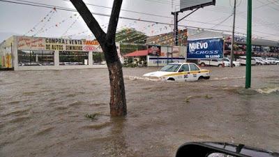 La sociedad y sus permanentes problemas ambientales