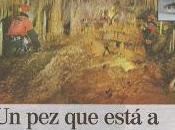 Volvemos salir prensa radio