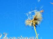 ¡Vacaciones Recordatorio Sorteo!