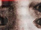 Internal devastation berlin