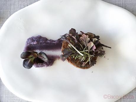 Sinfonía lavanda Eurostars baco y boca