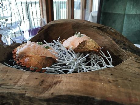 Fantasía de coral Eurostars baco y boca