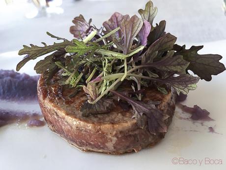 Sinfonía lavanda en Eurostars baco y boca