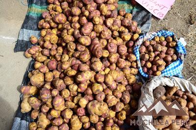 LA SEGUNDA FERIA AGROPECUARIA - GASTRONÓMICA PROVINCIAL DE PARIAMARCA