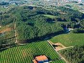 Entrevista Mes: Bodega Granbazán