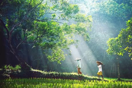 André Arment: la esencia de Indonesia