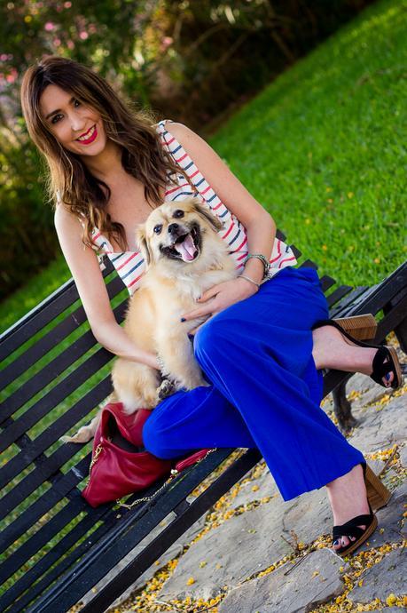 SORTEO!!!--- NAVY LOOK WITH MY LITTLE DOG