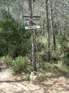 Taller de orientación en la naturaleza