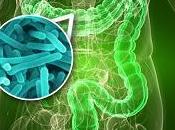 Nuestra Salud depende Microbioma Intestinal