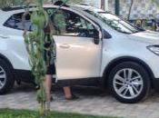 Alquiler coche Croacia Eslovenia