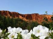 visión femenina Puebla Valles