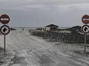 Michel Houellebecq, escritor francés despliega arte Palais Tokio