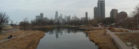 Chicago (skyline)