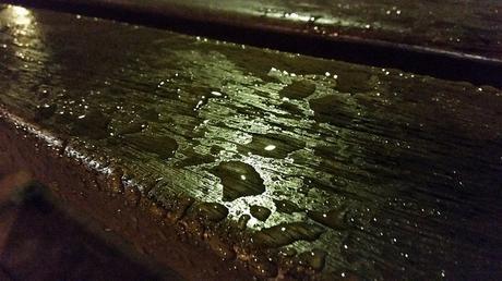 Androidografia Barakaldo 1779