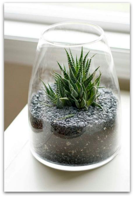 5 plantas a prueba de mascotas y cómo mantenerles alejados de ellas