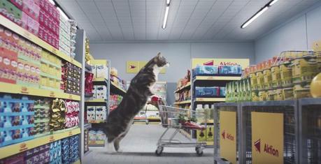 Este supermercado reúne todos los memes gatunos en un mismo anuncio