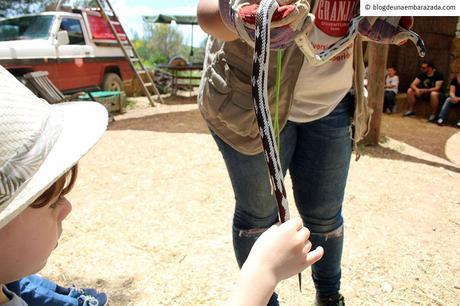 Granja Aventura Park, un plan ideal para toda la familia + SORTEO ENTRADAS Granja Aventura Park, un plan ideal para toda la familia + SORTEO ENTRADAS