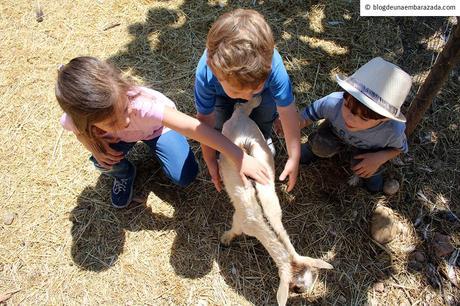 Granja Aventura Park, un plan ideal para toda la familia + SORTEO ENTRADAS Granja Aventura Park, un plan ideal para toda la familia + SORTEO ENTRADAS