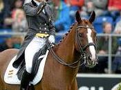 Ferrer-Salat, segunda ránking mundial doma