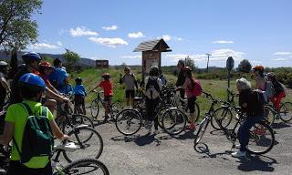 Vía Verde Ojos Negros con bicicleta