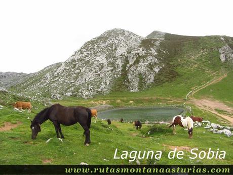 Laguna de Sobia en Teverga