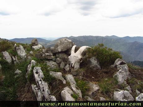 Cima de Peña Sobia, entre Teverga y Quirós