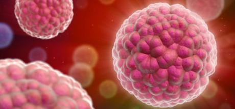 Reprograman Celulas Dañadas para Producir Celulas Sanas