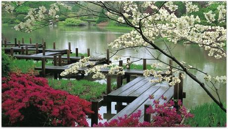 Quien lo lleva mejor: las flores son para siempre