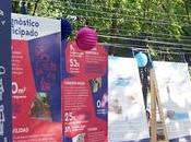 VdB, proyecto regeneración urbana bottom consolida