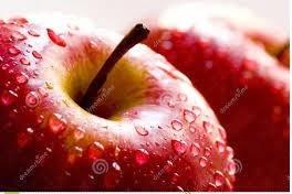 La Manzana y sus multiples usos