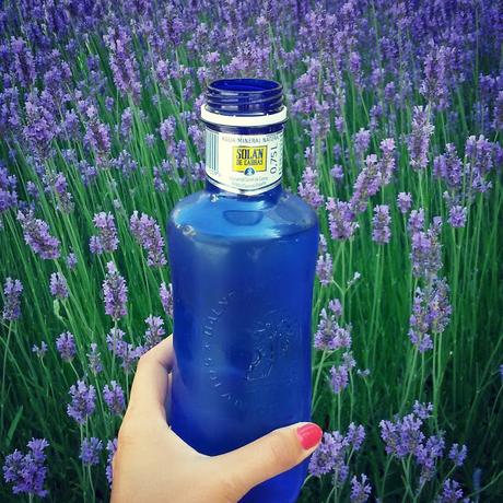 Mi viaje #VPEuropa2016 {Introducción}