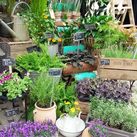 Mi viaje #VPEuropa2016 {Introducción}