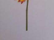 Elena Román: Ciudad girándose