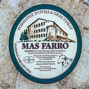 Tipos de quesos, variedades y cómo se elaboran Queso de oveja curado