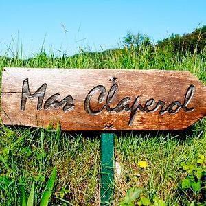 Tipos de quesos, variedades y cómo se elaboran Queso ecológico de la garrotxa