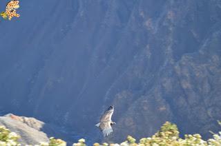 Perú en 15 días: Itinerario y presupuesto