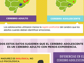 cerebro adolescentes #infografia #infographic #psychology