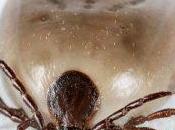 Quince años trabajar cobrando todos meses