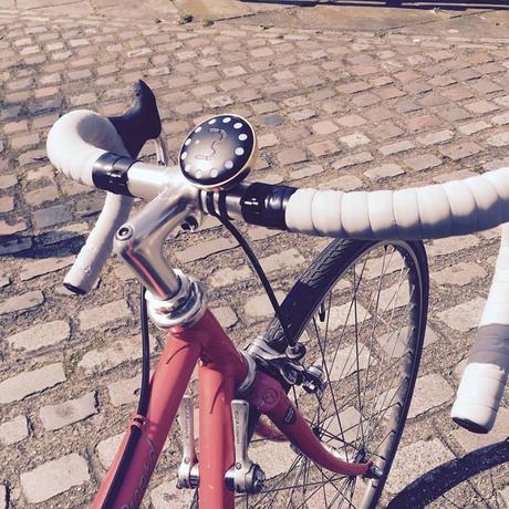 13179371_937071066413123_2348567947648006293_n