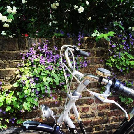 13465984_958096280977268_8040910898722129734_n