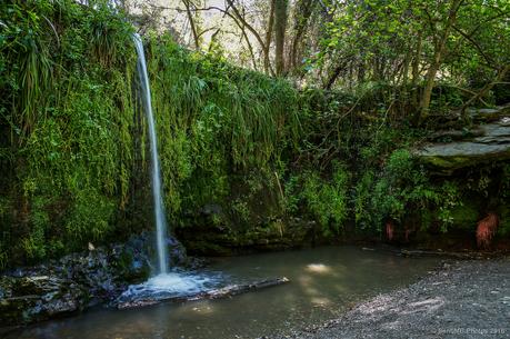 La Rierada, el río de Collserola