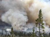 Environmental POTY 2016 destaca fotografías impactantes sobre medio ambiente